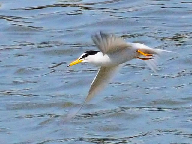 D RAWTV@@s@썶݁@2010/04/28@ Photo by Kohyuh