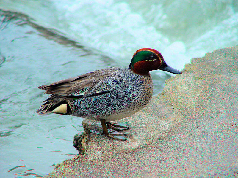 RK @@艷@Ls@Ɍ@2005/02/16@Photo by Kohyuh