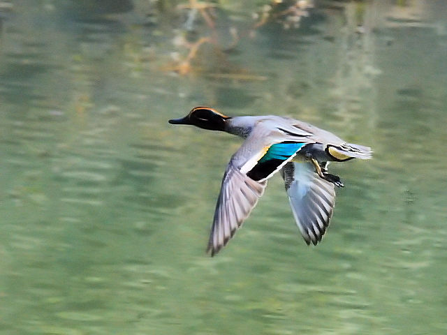 photo_20140319-1@RK@@@s@J@2014/03/19@Photo by Kohyuh