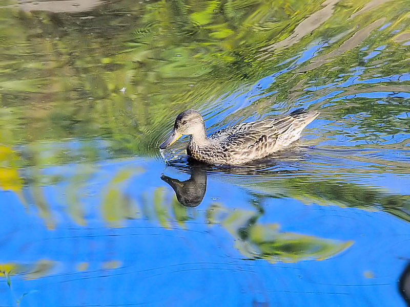 RK@@s@J@2014/10/24@Photo by Kohyuh