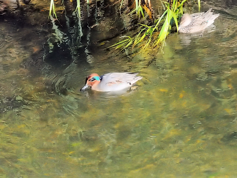 RKYiQ-1j @s@V̐@2016/12/07@Photo by Kohyuh