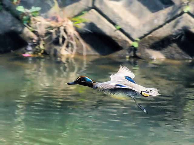 photo_20140319-2@RK@@@s@J@2014/03/19@Photo by Kohyuh