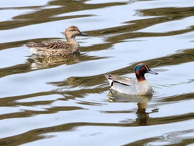 E RK @@s@Rcr@2014/03/04@Photo by Kohyuh