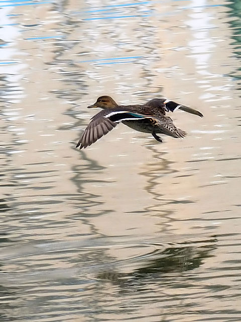 photo_20140319-3@RK@@@s@J@2014/03/19@Photo by Kohyuh