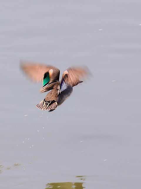B RK @юp@@s@썶݁@2010/03/22@Photo by Kohyuh