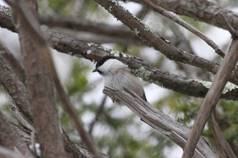 RK iT-3j@@㍂n@쌧@2014/11/14@Photo by Manda