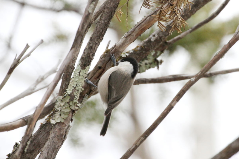 RK iT-4j@@㍂n@쌧@2014/11/14@Photo by Manda