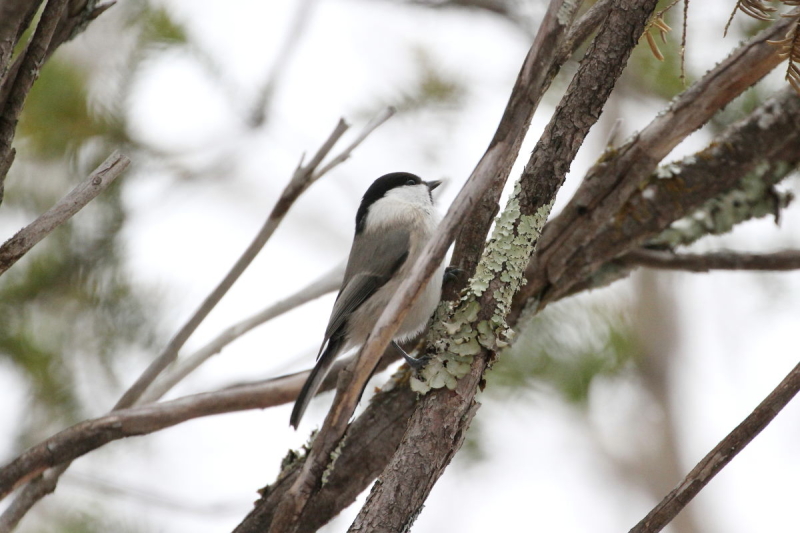 RK iT-5j@@㍂n@쌧@2014/11/14@Photo by Manda