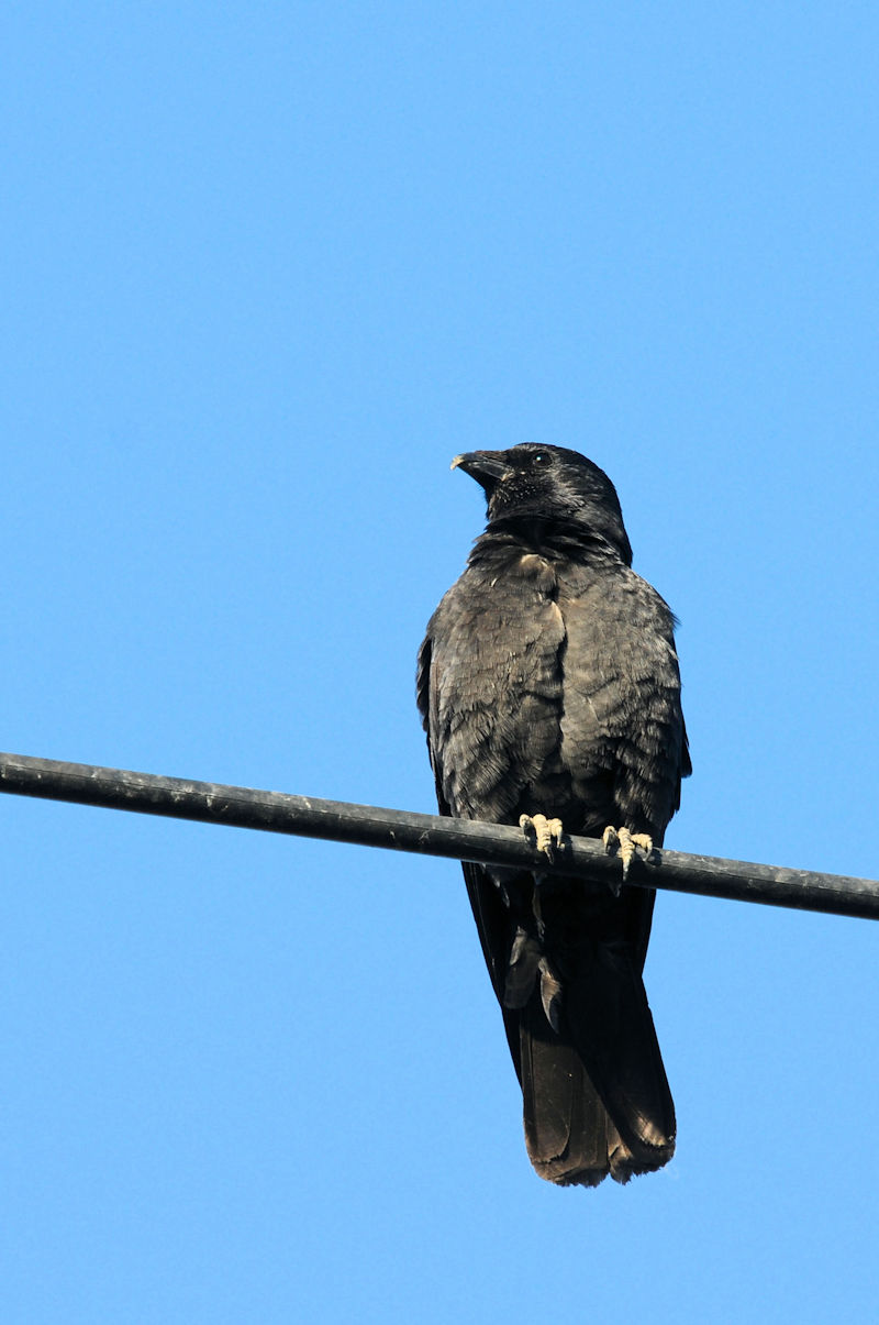 RN}KX iÐF^j@J@s@2020/12/02@Photo by Kohyuh