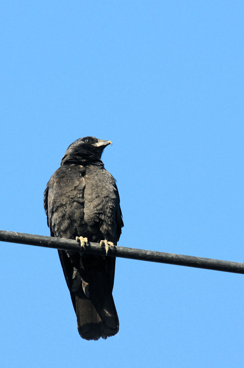 RN}KX iÐF^j@J@s@2020/12/02@Photo by Kohyuh