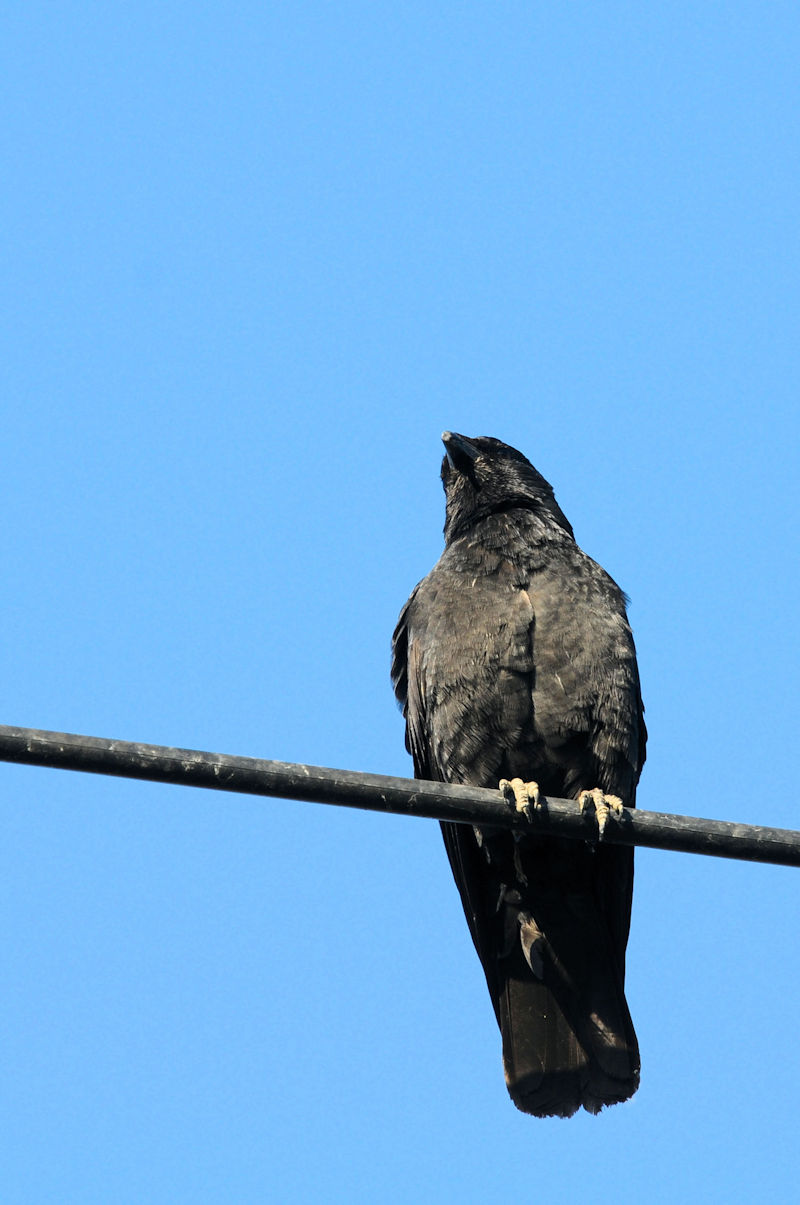 RN}KX iÐF^j@J@s@2020/12/02@Photo by Kohyuh