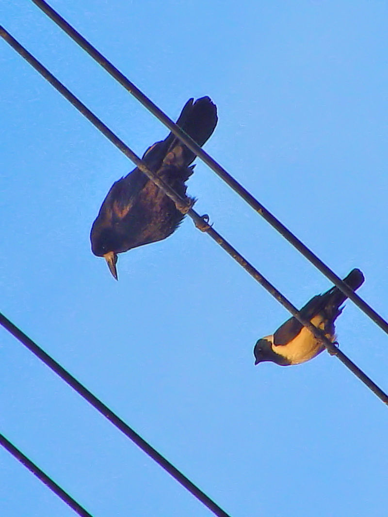 ~}KXijƃRN}KXiEj@˒Á@s@2008/01/01@Photo by Kohyuh