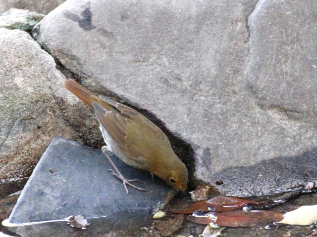 H  R}h @@@s@2013/11/05@ Photo by Manda