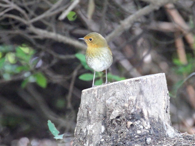 E  R}h @@@s@2013/11/05@ Photo by Manda