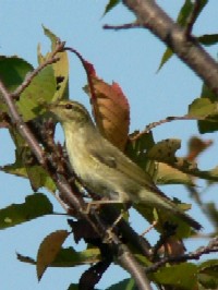 R{\VNC@s@@2006/11/03@Photo by Takase