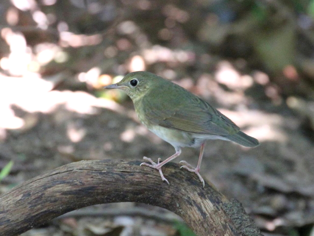 H R @ᒹ@@2013/09/11@Photo by Manda