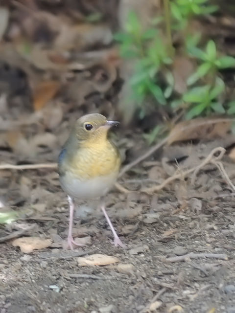 G R @ᒹ@@2012/09/19@Photo by Kohyuh