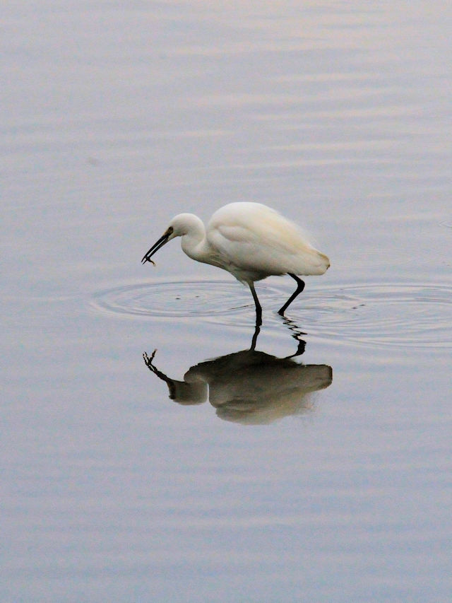 RTM@~H@@s@2017/12/26@Photo by Kohyuh