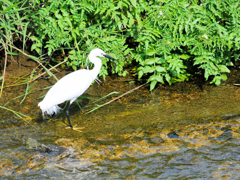 RTM@V@s@2019/05/06@Photo by Kohyuh
