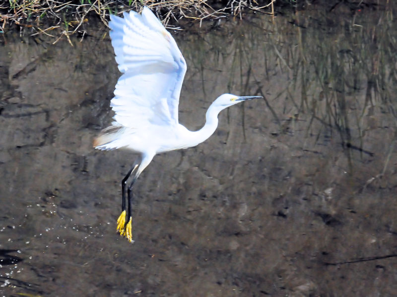 RTM̔їiQ-1j@@s@2018/10/21@Photo by Kohyuh