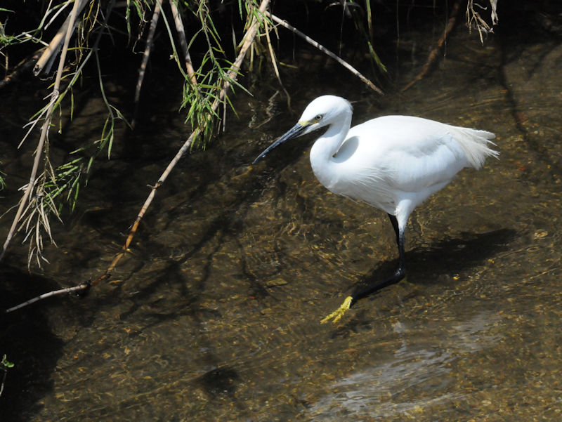 RTM@썶݁@s@2018/05/19@Photo by Kohyuh