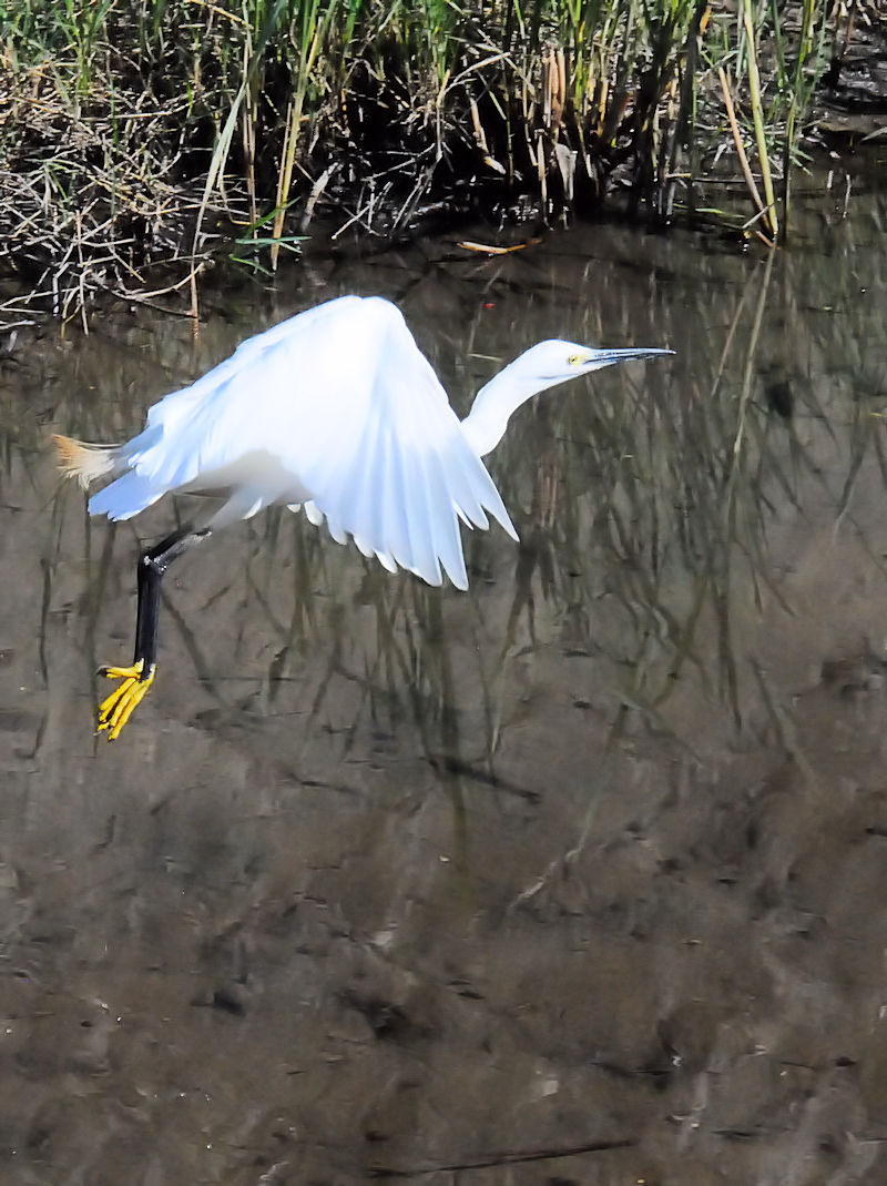 RTM̔їiQ-2j@@s@2018/10/21@Photo by Kohyuh