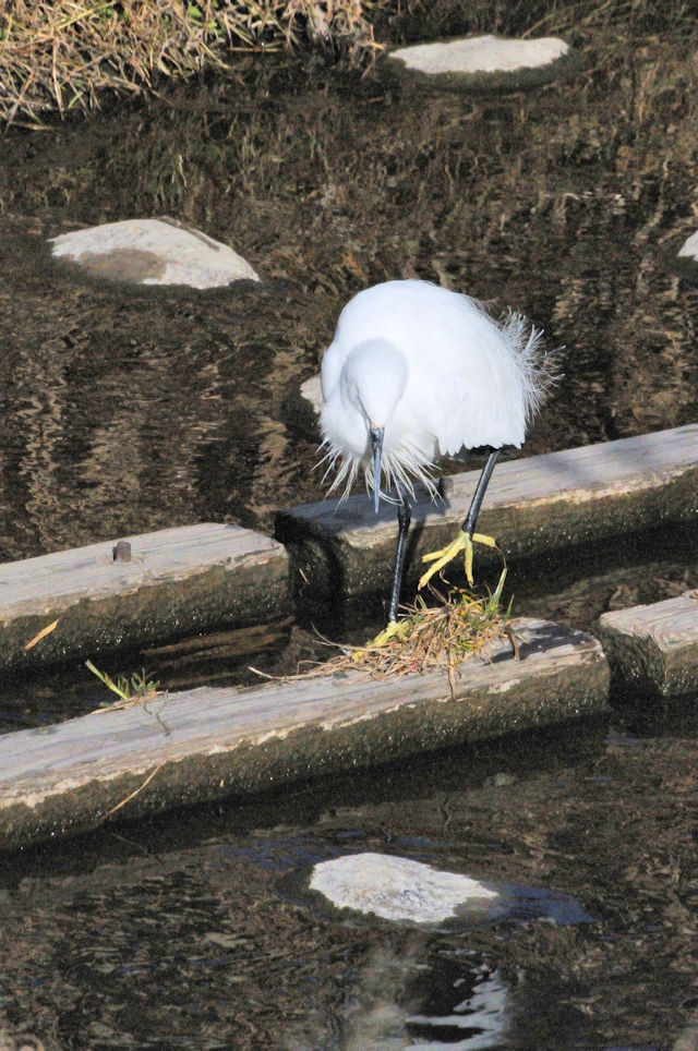 RTMiQ-2j@EĉH@D@s@2018/01/03@Photo by Kohyuh