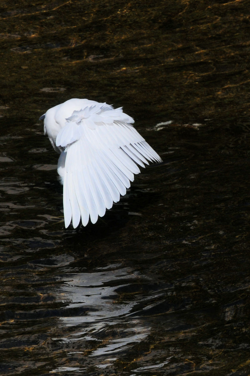 RTM@V@s@2021/10/29@Photo by Kohyuh