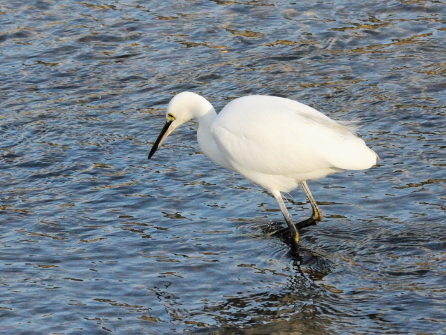 A ᎋRTM@@~H@ss@@2011/12/17@Photo by Kohyuh