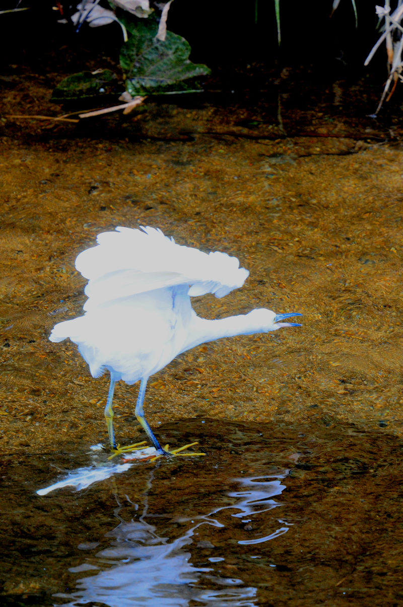 RTM@V@s@2021/10/29@Photo by Kohyuh