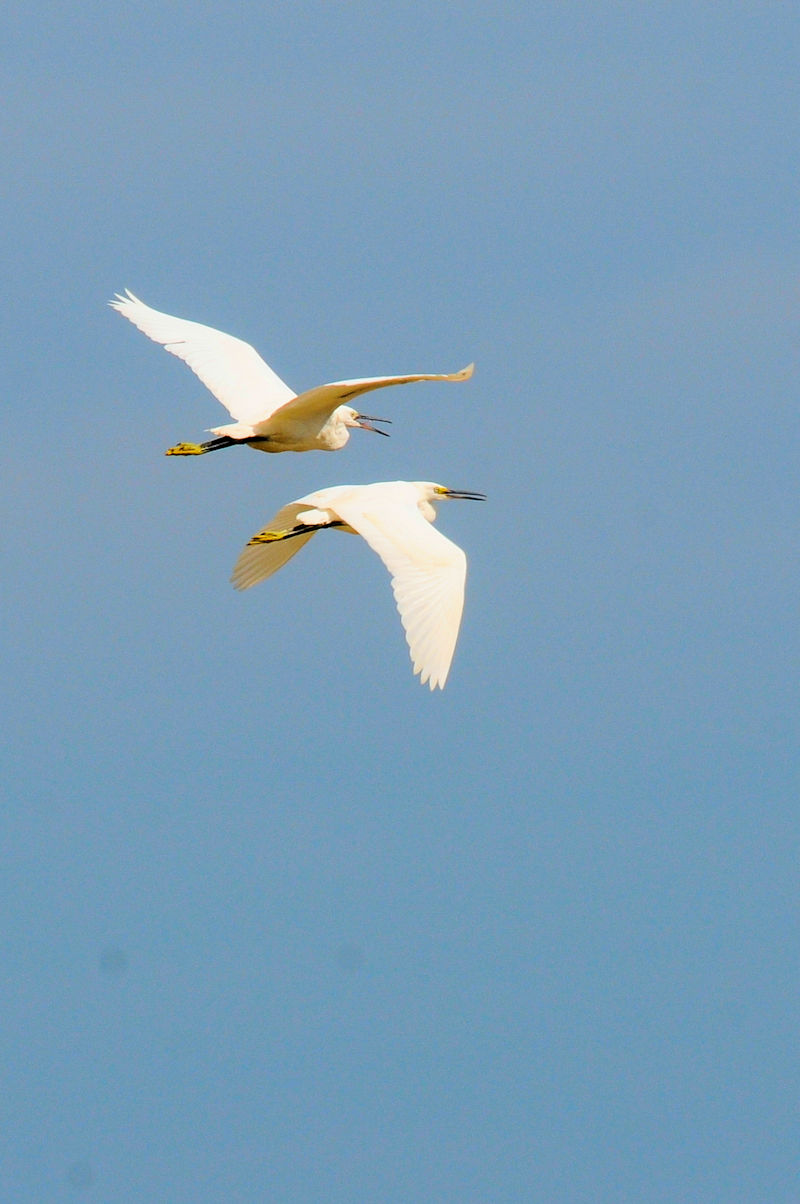 RTM̔юp@J@s@2022/10/13@Photo by Kohyuh