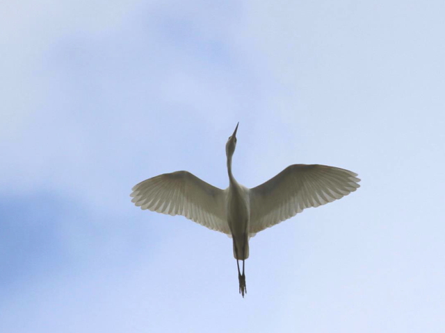 D RTM@@s@J@2013/12/08@Photo by Manda