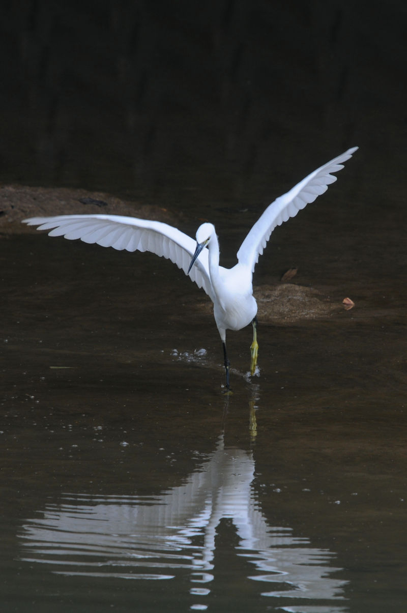 RTM@J@s@2021/09/30@Photo by Kohyuh