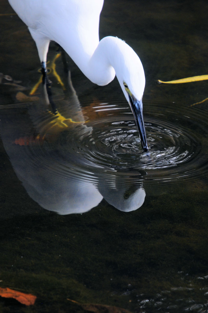 RTM J@s@2021/10/12@Photo by Kohyuh