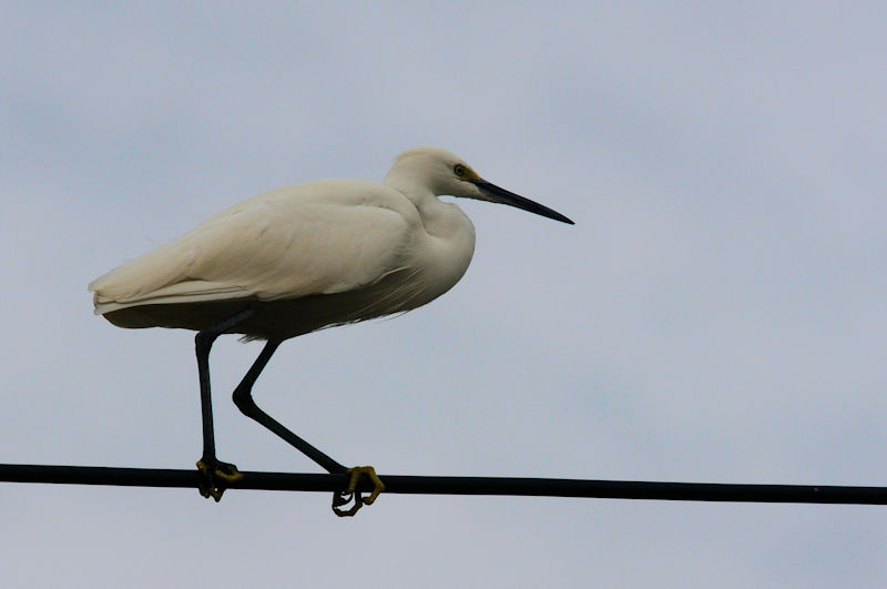 RTM̍jn@J@s@2021/11/30@Photo by Kohyuh