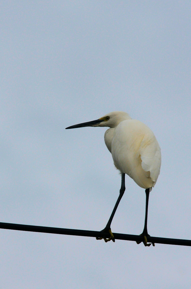 RTM̍jn@J@s@2021/11/30@Photo by Kohyuh