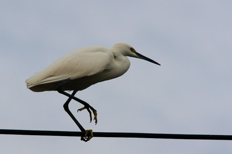 RTM̍jn@J@s@2021/11/30@Photo by Kohyuh