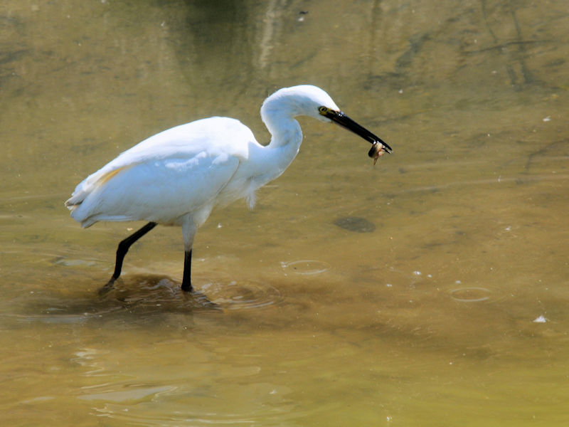 Qbg@RTM@J@s@2022/04/28@Photo by Kohyuh