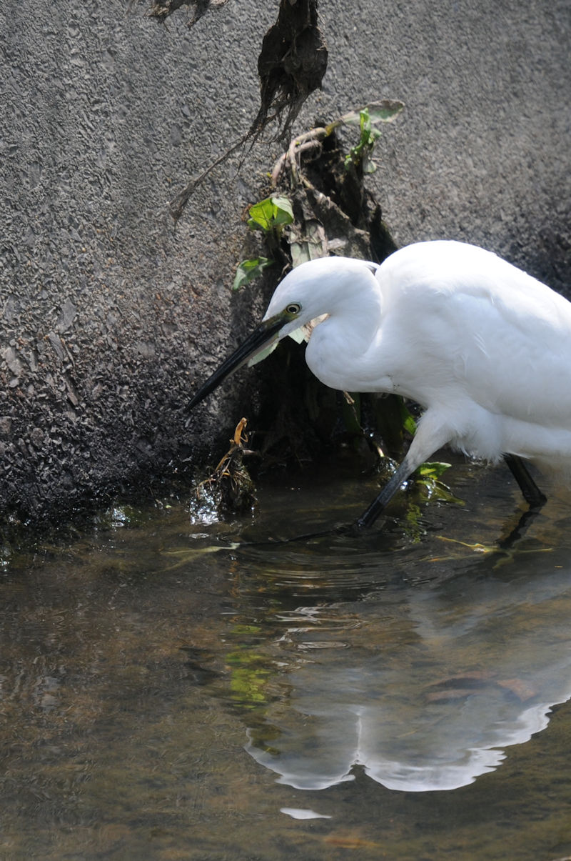 RTM̃phO@J@s@2022/08/21@Photo by Kohyuh