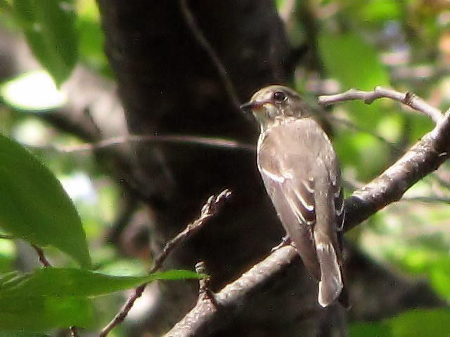 B RTr^L@@s@w@2010/09/27@Photo by Kohyuh