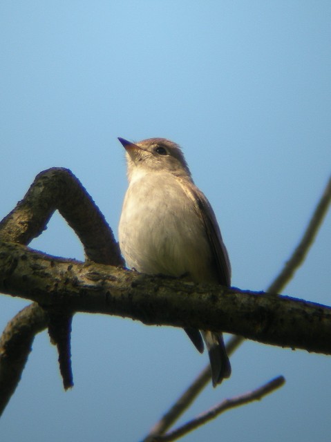 @ RTr^L@s@jR@2006/05/03@Photo by Takayama