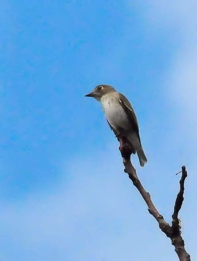 RTr^LiS-2j@썶݁@s 2018/09/23@Photo by Kohyuh