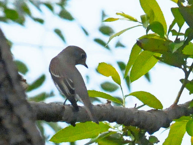 RTr^LiS-4j@썶݁@s 2018/09/23@Photo by Kohyuh