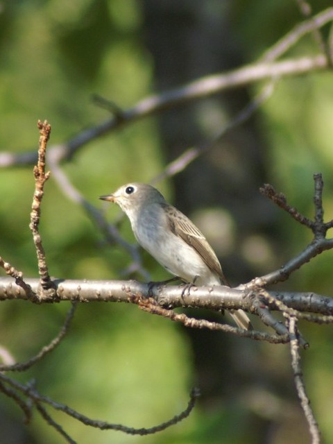 A RTr^L@s@jR@2007/09/22@Photo by Shiba