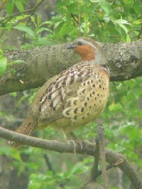 sRWPCt@ʐ^̓NbNŊg傷