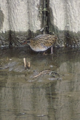 @ NCi@s@J@2008/02/19@Photo by Shiba