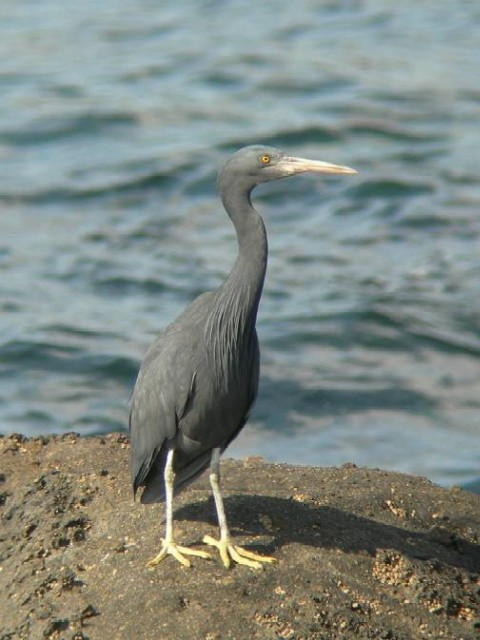 @ NTM iF^j@ɓ@C݁@2007/03/14@ Photo by Takayama