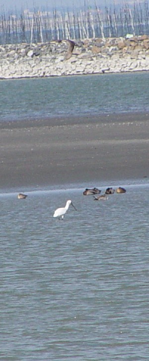 NcwTM@F{`@2005/01/21@Photo by Kohyuh