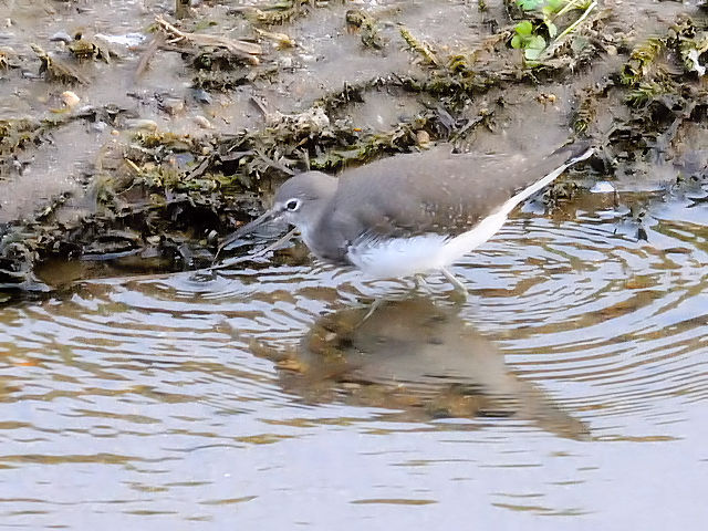 D NTVM@@J@s@2011/12/21@Photo by Kohyuh