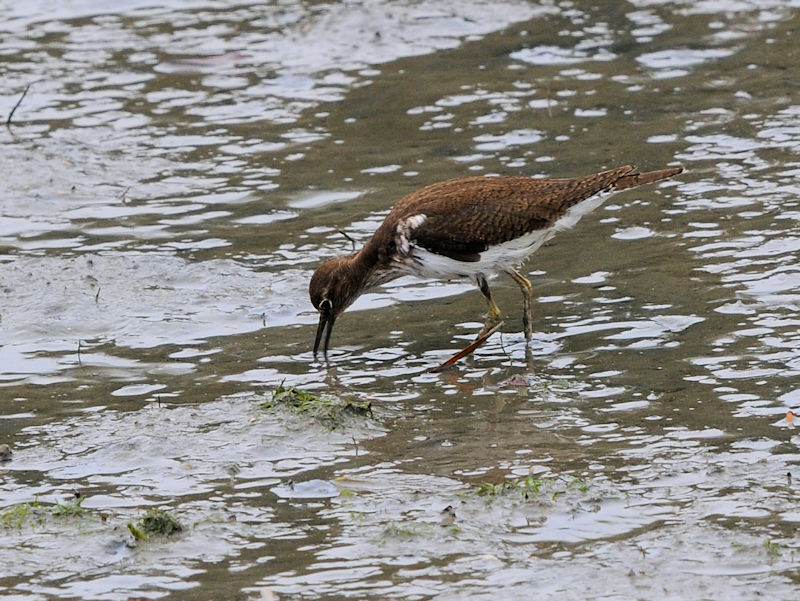 NTVM@@@Opr@Ls@ꌧ@2023/02/06@Photo by Kohyuh